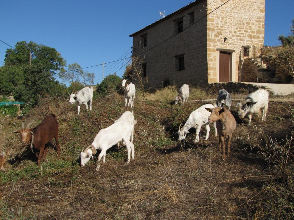 ホテルLa Telleria Valjunquera エクステリア 写真